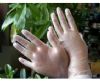 disposable household protection powder free pvc  gloves